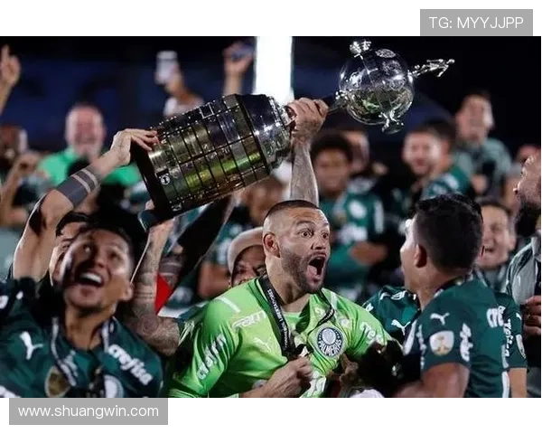 巴西球队展现统治力连续七年夺得南美解放者杯冠军荣耀 巴西球队展现统治力连续七年夺得南美解放者杯冠军荣耀