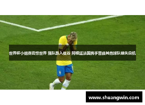 世界杯小组赛震惊世界 强队跌入低谷 阿根廷法国携手晋级其他球队错失良机
